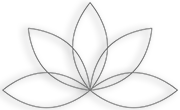 Grafik Lotusblüte